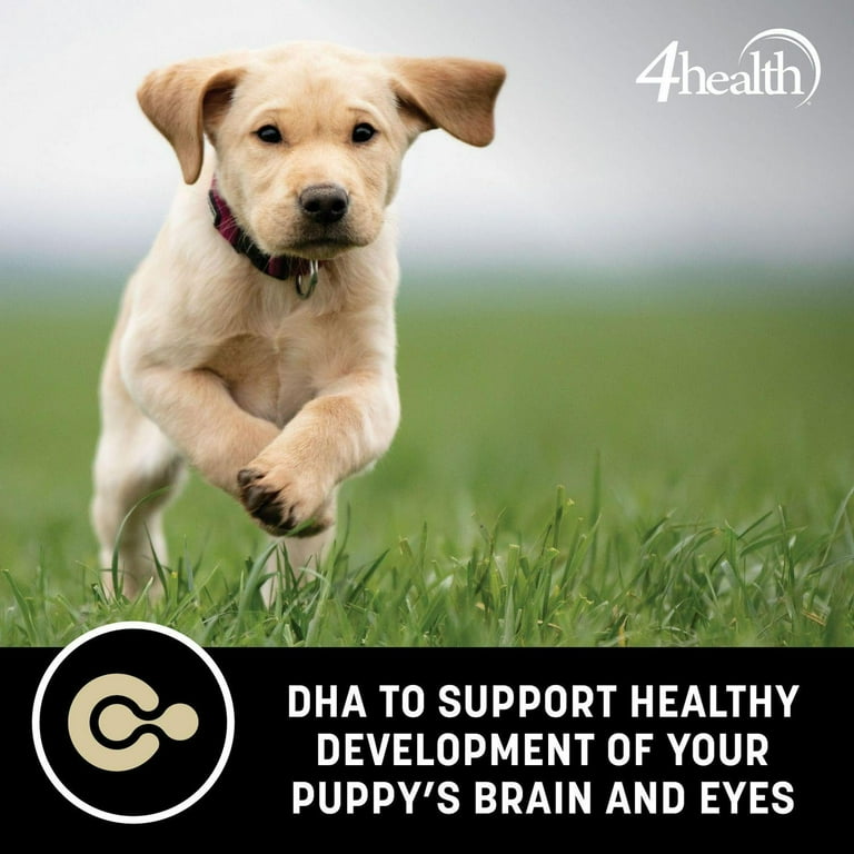 4health with Wholesome Grains Puppy Digestion Support Lamb Formula