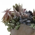 thumbnail image 3 of SAFAVIEH Faux 13 Inch Succulent Potted Plant, Grey, 3 of 5