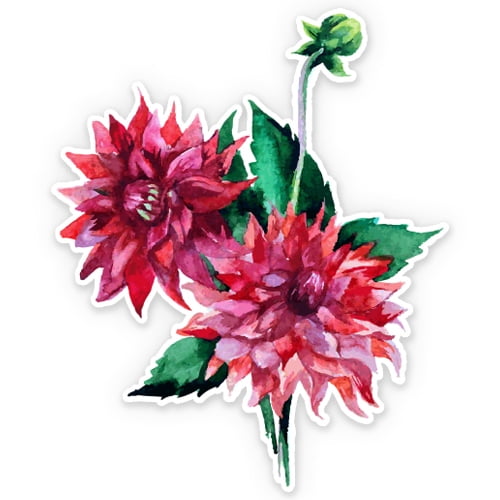 Dahlia Pretty Watercolor - 7" Vinyl Sticker - For Car Laptop I-Pad - Waterproof Decal