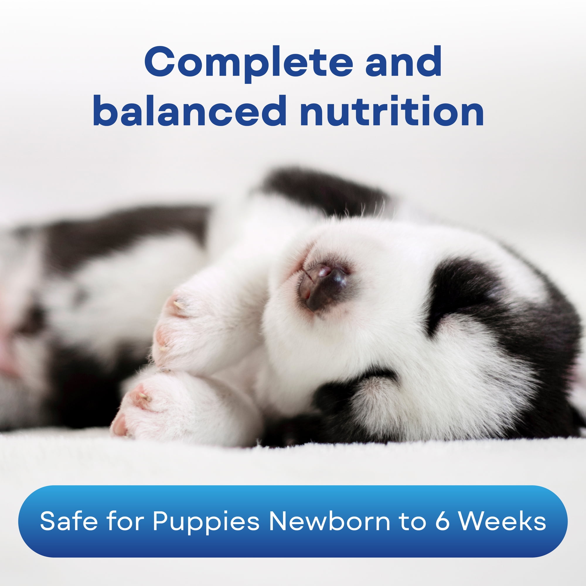 PetAg Milk Replacer Plus Puppy 5 lb. Bag Powder