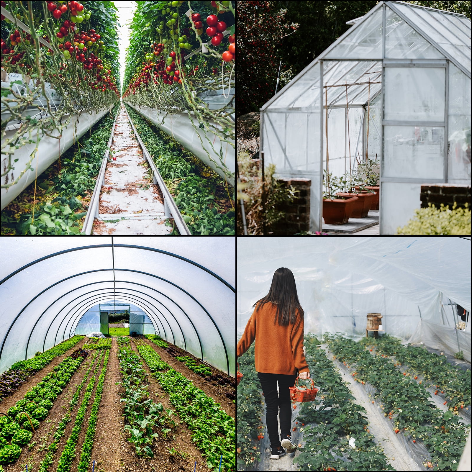 KFFKFF Greenhouse Film 12 x 25 ft, 6 Mil Polyethylene Cover, UV-Resistant Clear Plastic for Temperature Control, Durable and Protective Greenhouse Plastic Sheeting