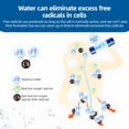 thumbnail image 4 of Yajisi Portable Hydrogen Water Bottle Generator SPE PEM Technology Ionizer Machine USB Rechargeable High Borosilicate Glass 330ml / 11.1 oz Blue, 4 of 5