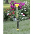 Taylor ClearVu Jumbo Jr. Mountable Rain Gauge with Large Easy Read Tube