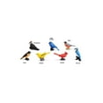thumbnail image 4 of Safari Ltd. Backyard Birds Toob - Figurines: Woodpecker, Indigo Bunting, Robin, Oriole, Warbler, Cardinal, Blue Jay - Educational Toy Figures For Boys, Girls & Kids Ages 3+, 4 of 7