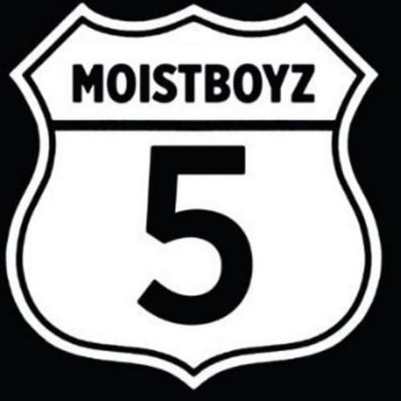 Moistboyz - Moistboyz V - Music & Performance - CD