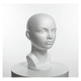 thumbnail image 2 of "Maniqui Exhibidor De Cabeza Unicel Belug Blanco ", 2 of 4