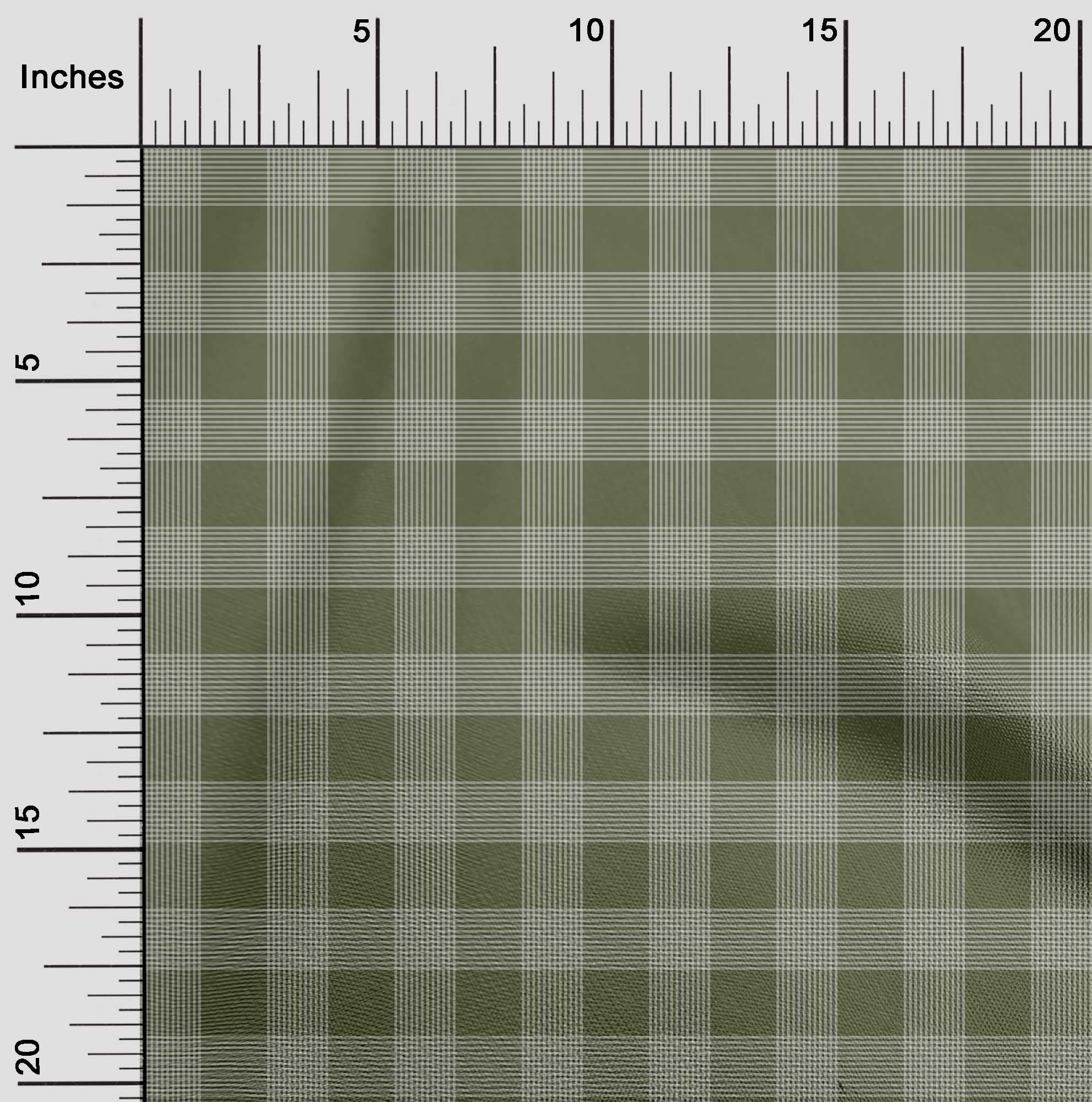 Prairie Fried Chimken Poplin By the Yard 42 Inch Cotton Poplin Pre Order