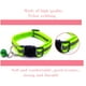 thumbnail image 4 of (12 colores) Collar reflectante para gatos, collar antiahogo para gatitos con cascabel, collar ajustable para gatos, accesorio para gatos y mascotas, 4 of 5