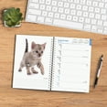 thumbnail image 4 of Kittens | 2024 6x7.75" Wire-O Engagement Planner Calendar | BrownTrout, 4 of 8
