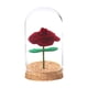 thumbnail image 3 of 4 mini cúpulas de cristal transparente para exhibir flores preservadas en San Valentín. Cubre muñecas pequeñas., 3 of 8