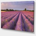thumbnail image 2 of Rangées de Lavande en France - Impression sur Toile Paysage, 2 of 3