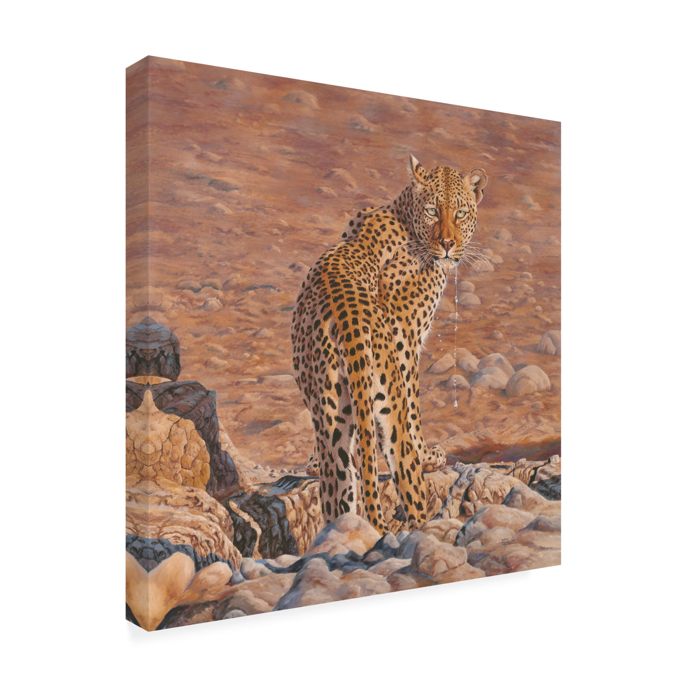 Canvas Wall Art - Delene Lambert 'Disturbed' Wall Art for Living Room, Bedroom, or Office Décor by Trademark Fine Art - 35 x 35 Inches