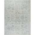 thumbnail image 2 of Livabliss x Our PNW Home Olympic Updated Traditional Area Rug,9'2" x 12', Light Blue, 2 of 9
