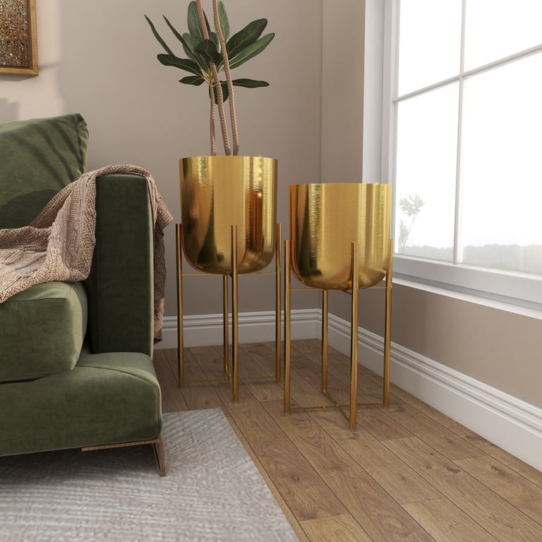 sansevieria badezimmer Sansevieria Moonshine (Bogenhanf) (M) kaufen? | Remus main image 0