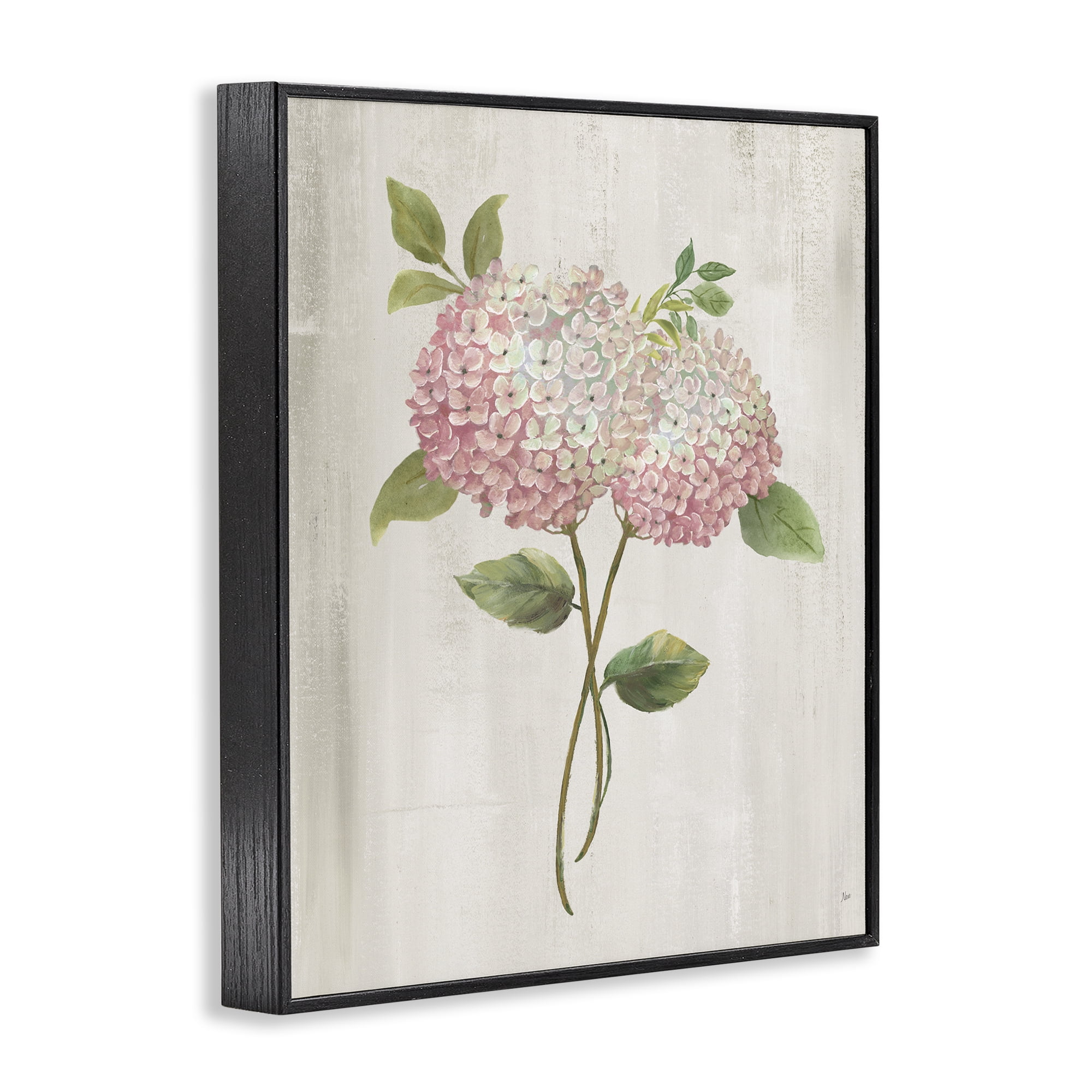 Stupell Industries Vintage Pink Hydrangea Black Framed Giclee Art, design by Nan