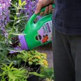 thumbnail image 2 of Miracle-Gro Shake N Feed Ultra Bloom Plant Food - 2.04kg, 2 of 6