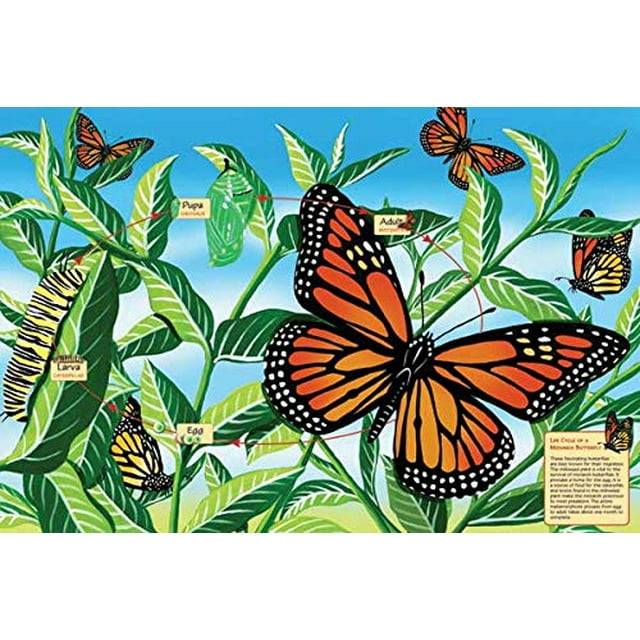cycle de Vie d'Un Monarque et d'Un Papillon sur la Colline Casse-Tête de Plancher de 48 Pcs