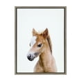 thumbnail image 3 of Kate and Laurel Sylvie Animal Studio Baby Horse Framed Canvas Wall Art by Amy Peterson Art Studio, 18x24 Gray, Modern Pony Portrait Art for Wall, 3 of 7