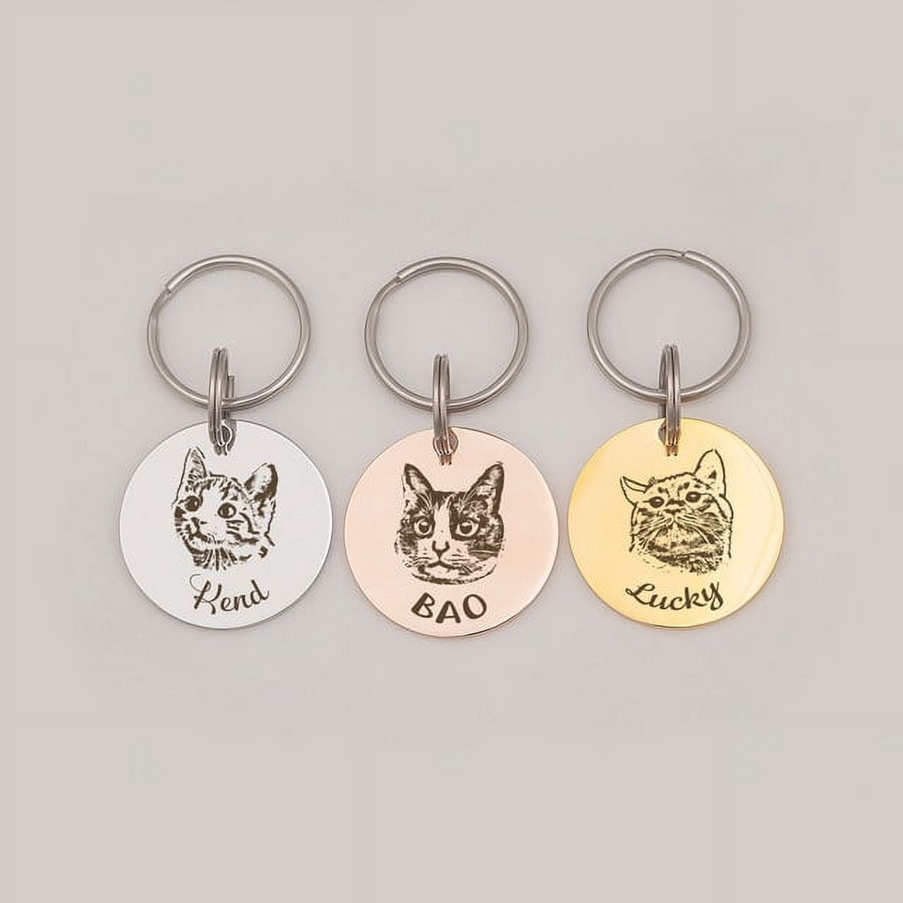 Anavia Stainless Steel Double Sided Round Name and Pet Portrait Engraved Dog & Cat ID Tag, Multi-color, L