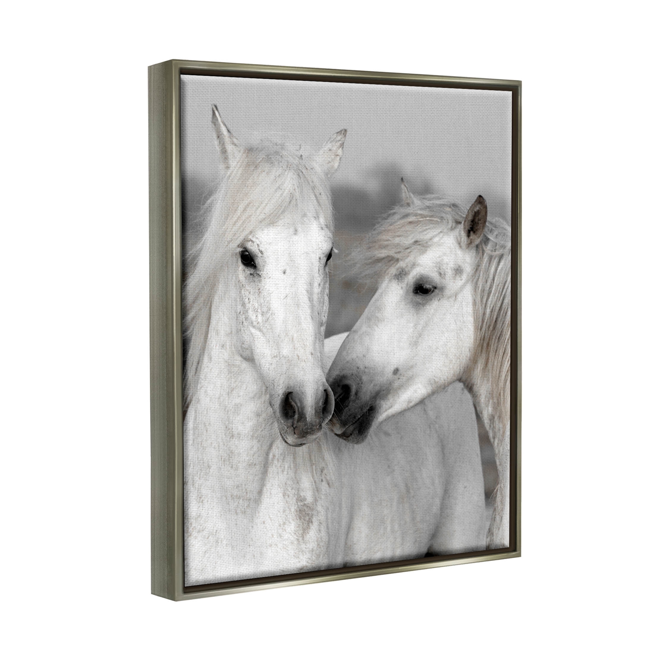White Horse Kiss Wildlife Animals & Insects Photograph Luster Gray Framed Art Print Wall Art