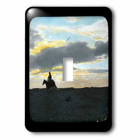 3dRose Indian Rider in Sunset Horizon in the American Southwest - Single Toggle Switch (lsp_16131_1)