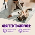 thumbnail image 4 of Wellness Lickable Soft Puree Cat Treats, All Lifestages, Kitten to Senior, Natural, Grain Free, Tuna Flavor, 0.4 oz, Pack of 6 Tubes, 4 of 8