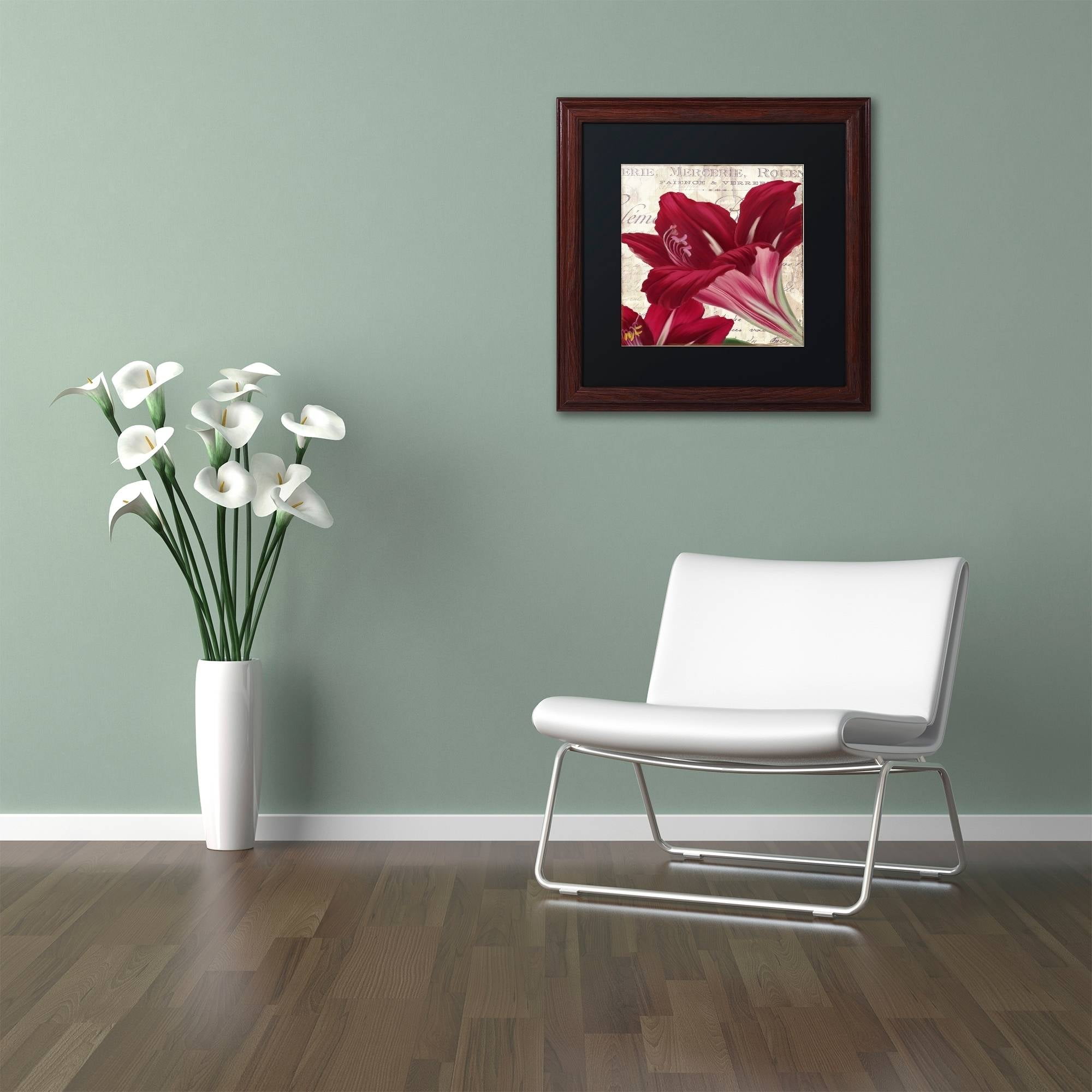 Trademark Fine Art "Amaryllis " Canvas Art by Color Bakery Black Matte, Wood Frame