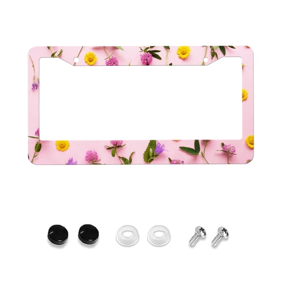Abstract Pattern License Plate Frame, Art Painting License Plate Frame, Colored License Plate, Car License Plate Cover, 1 Piece, Car Accessories, 2-Hole Universal License Plate, 12x6 Inch