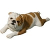 Sandicast Bulldog