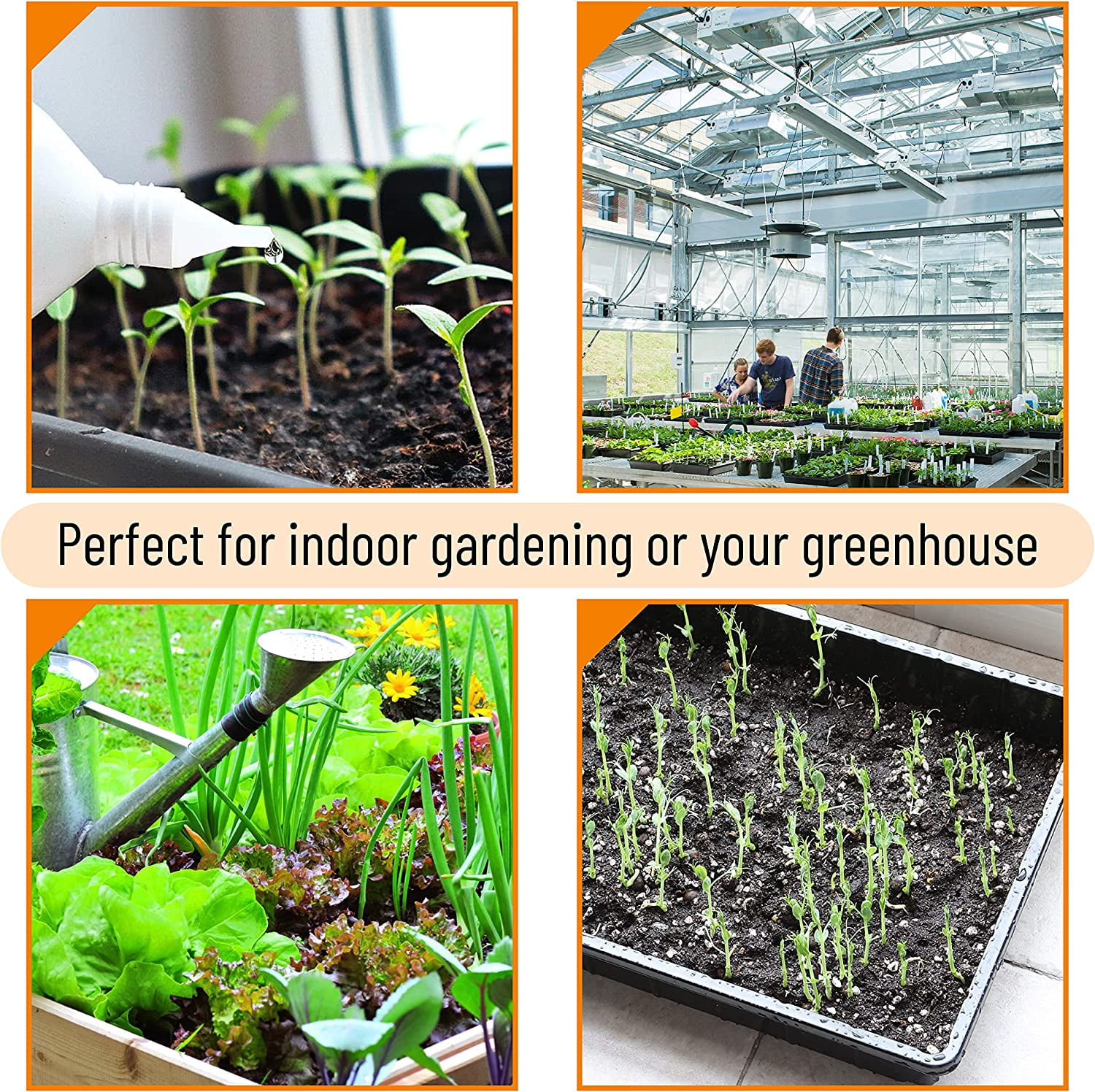 -Plastic Growing Trays, 5 Pack, Plant Tray, Seed Tray, Propagation Tray