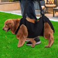 thumbnail image 2 of Arnés de elevación para perros, ayuda ajustable para movilidad para caminar de mascotas con asas y hebilla para perros envejecidos, Disable, 2 of 5