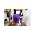 thumbnail image 4 of Couche de Base Extensible pour Chiens Moyens et Grands en Automne et Hiver, 4 of 4