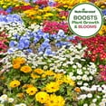 thumbnail image 5 of NutriHarvest® Super Organic Fertilizer 3-3-3 Flowers OMRI-Listed 1 lb, 5 of 8