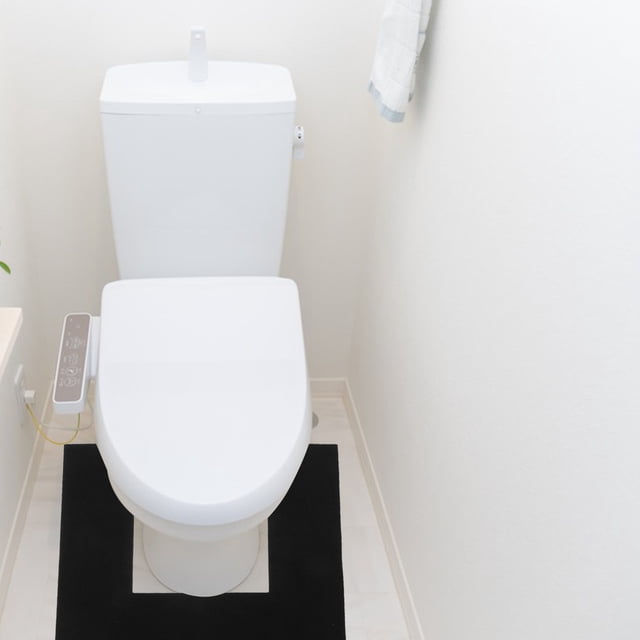 LOLIPPYY Tapete En Forma De U Para Con Absorción Rápida Y Fácil Limpieza Negro