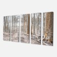 thumbnail image 2 of Forêt Dense en Hiver Photographie - Art Moderne sur Toile de Forêt, 2 of 3
