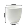 thumbnail image 2 of Balsa Circle 2 White 5.5" Plastic Succulent Planters Indoor Flower Plant Pots Party Events Decorations Supplies, 2 of 8