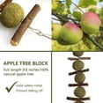 thumbnail image 6 of Yirtree 2Pcs/Set Bunny Chew Balls Chewing Playing Toys Teeth Care Molar Natural Apple Sticks for Rabbits Chinchillas Guinea Pigs Hamsters Improve Dental Health, 6 of 7
