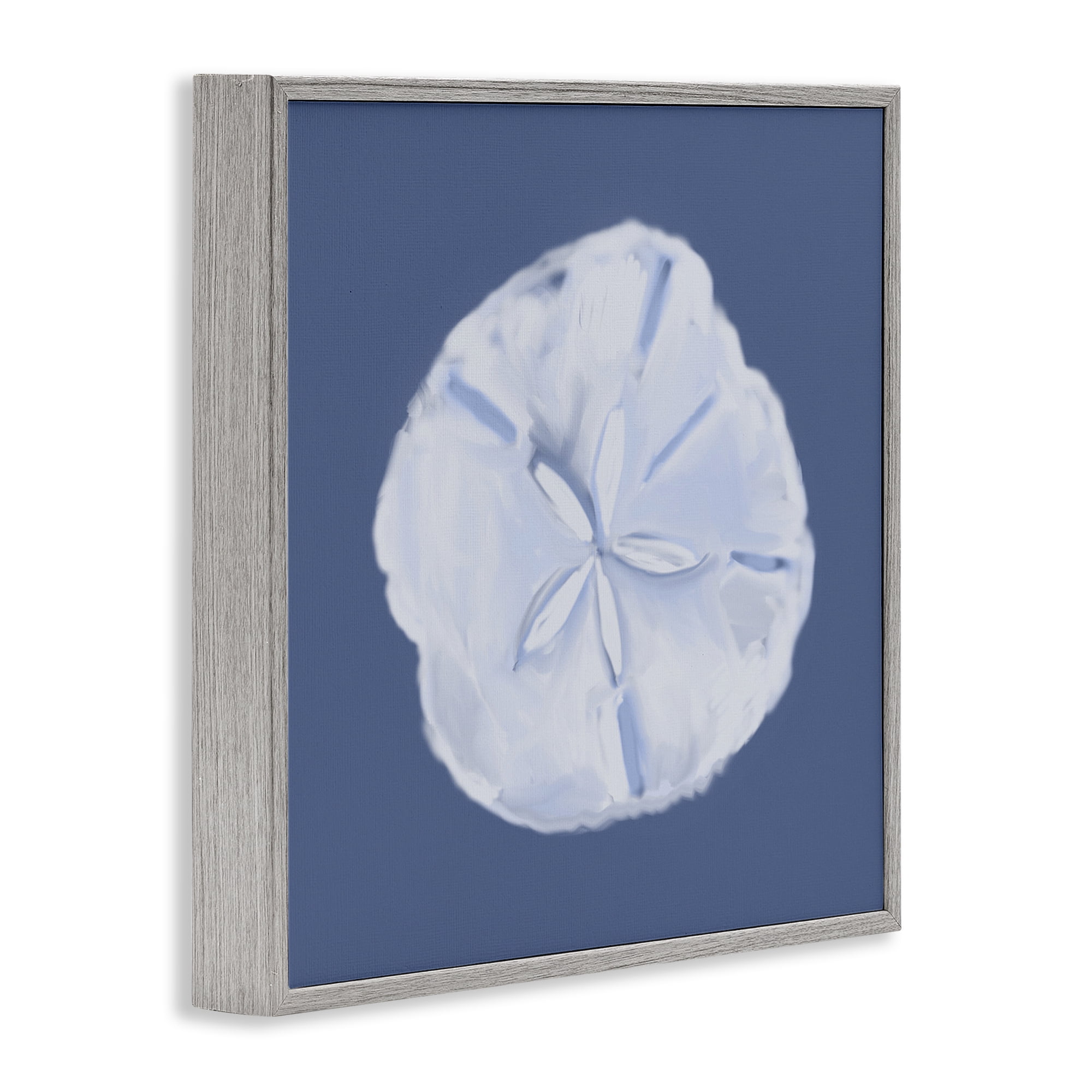 Stupell Industries Blue Nova Sand Dollar Animals & Insects Painting Gray Framed Art Print Wall Art, 24 x 24