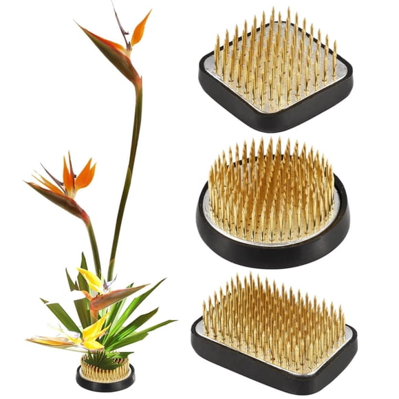 Juego de 3 arreglos florales de rana japonesa Ikebana Kenzan Kit 2,4 rana floral redonda Moribana+1,6 cuadrado Ikebana Kenzan+2,1 x1,4 rectángulo Pin rana