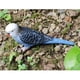 thumbnail image 3 of Figura de juguete de simulación de ciencia y naturaleza, modelo de pájaro animal para decoración del hogar Loro 2, 3 of 7