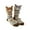 Black, variant on Women's Floor Socks, Winter Fleece-lined Lamb Wool Socks, Sleeping Home Socks, Snow Socks, Postpartum Socks, Black