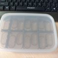thumbnail image 5 of Lishi Maned Lizard Incubator - Perfect Pet Breeding Box, 5 of 5