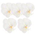 thumbnail image 3 of 5pcs Artificial Silk Phalaenopsis Flower Heads – Fake Butterfly Orchid for DIY Crafts, Hair Decoration, Wedding & Party Accessories – Fade Resistant, 3 of 4