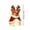 D, variant on Lypsnake Light Up Corgi Blow Mold Statue,Resin Dog Statue with Gingerbread Costume & Warm LED Light,Festive Display for Porch Mantel Entryway Tabletop Decor