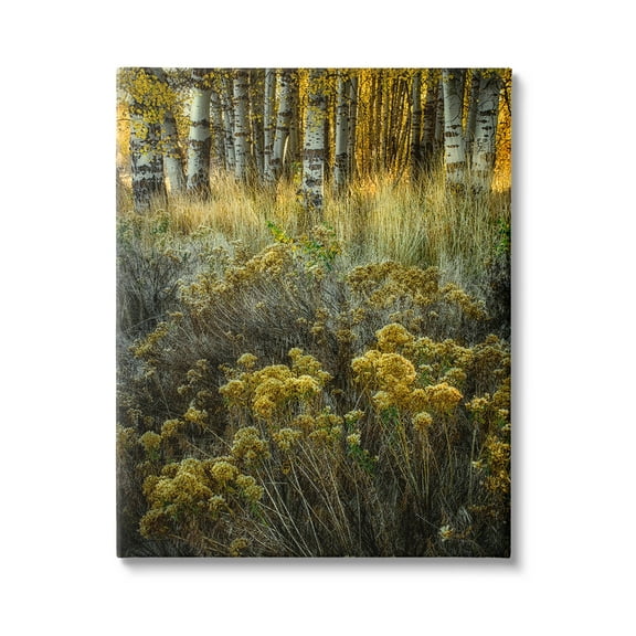 Stupell Industries Woodland Wildlife Plants Yellow Blossoms Photograph Gallery Wrapped Canvas Print Wall Art, Design by David Lorenz