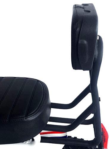 backrest for bike