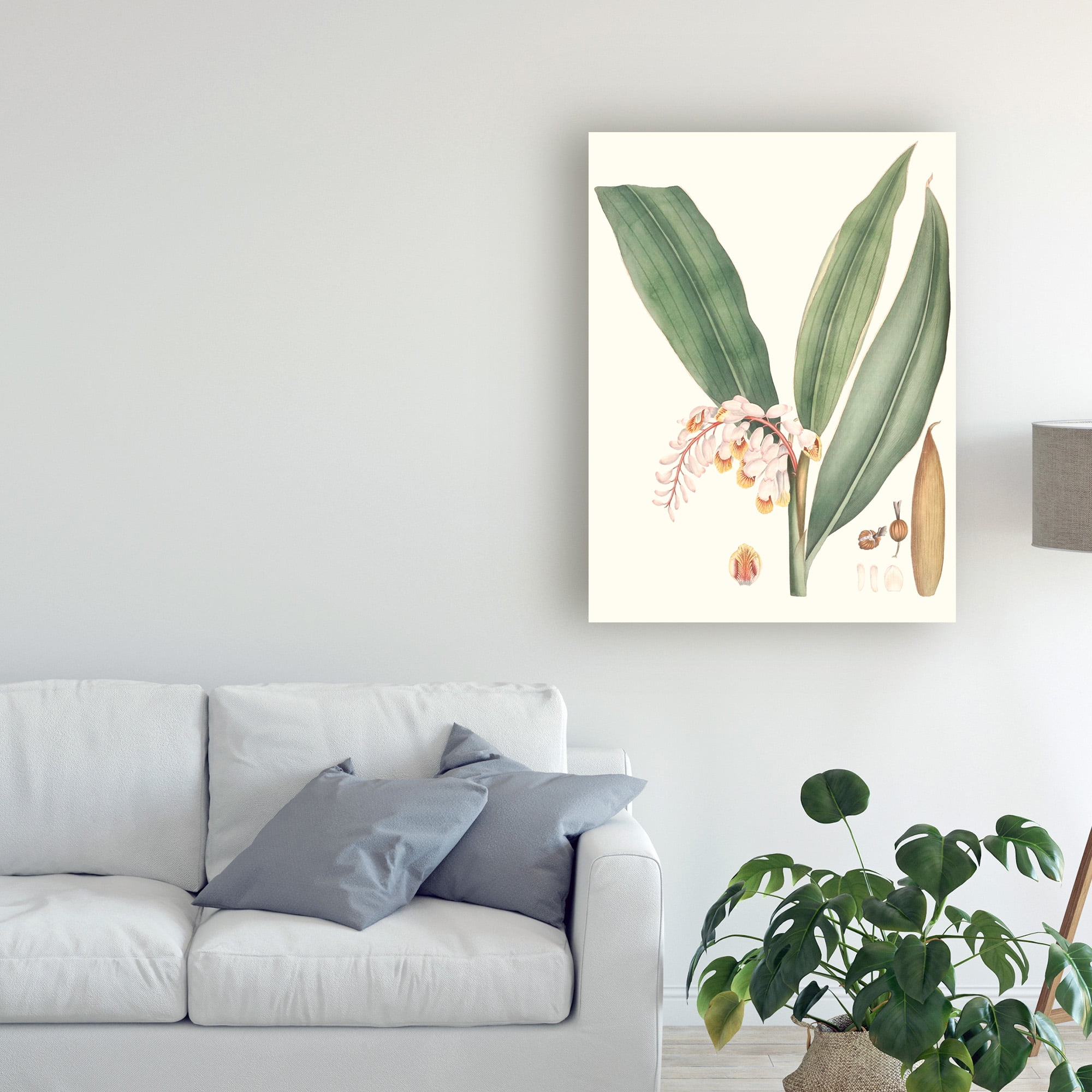 Trademark Fine Art 'Soft Tropical II' Canvas Art by George Smith