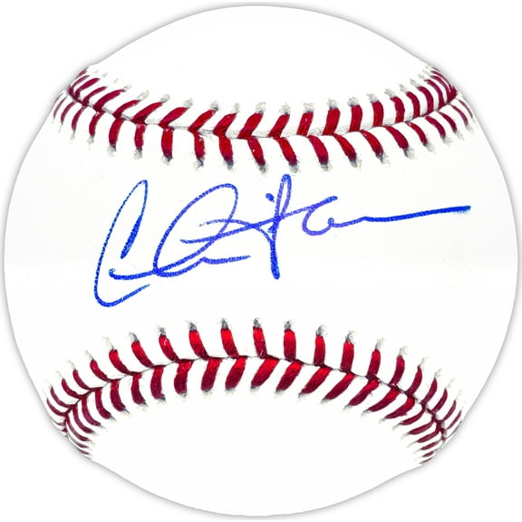 Charlie Sheen Autographed Official MLB Baseball Major League Ricky 'Wild Thing' Vaughn Beckett BAS Witness 229990