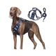 thumbnail image 2 of Pechera Arnés De Seguridad Para Perro Talla M Belug Azul, 2 of 5