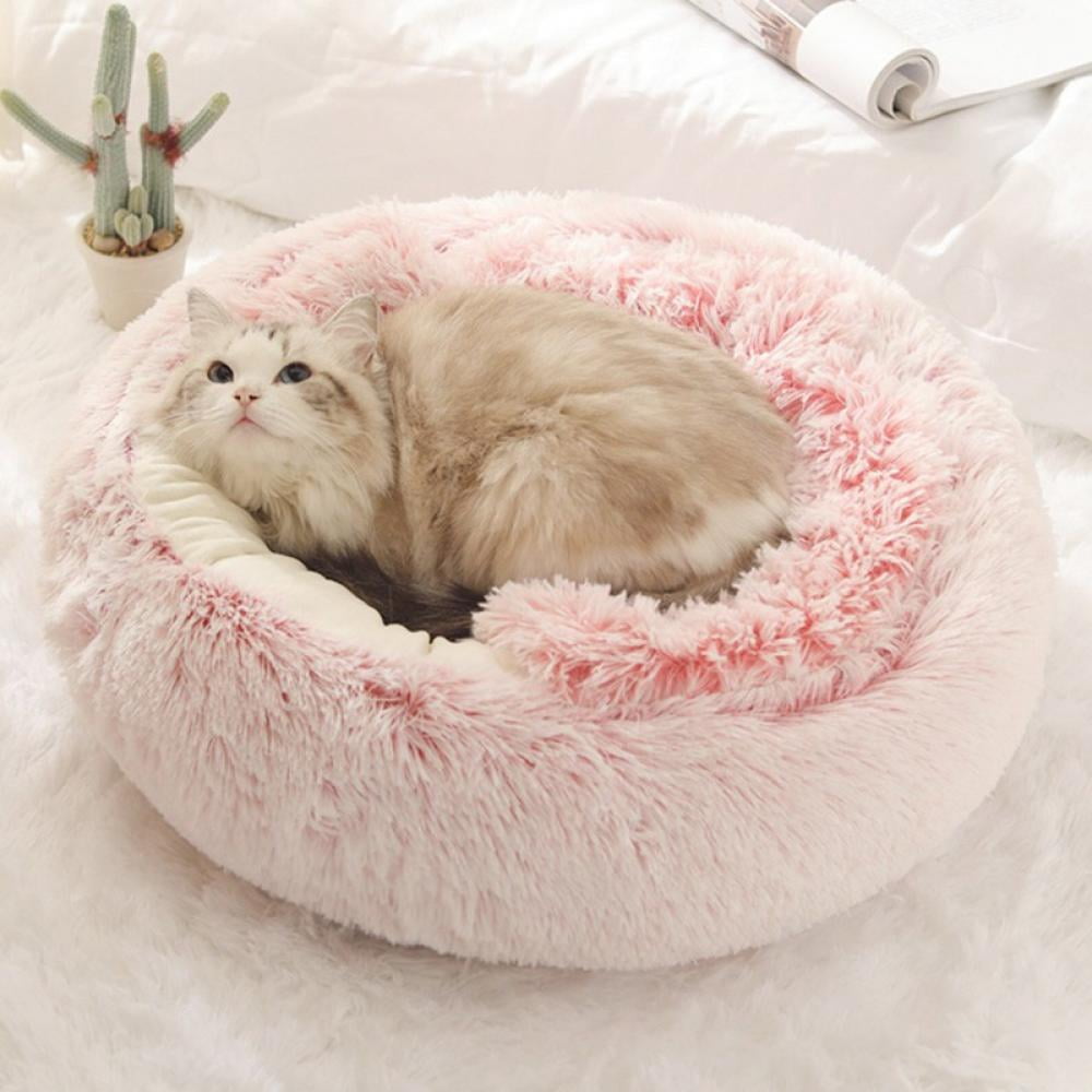 Sad Cat Bed
